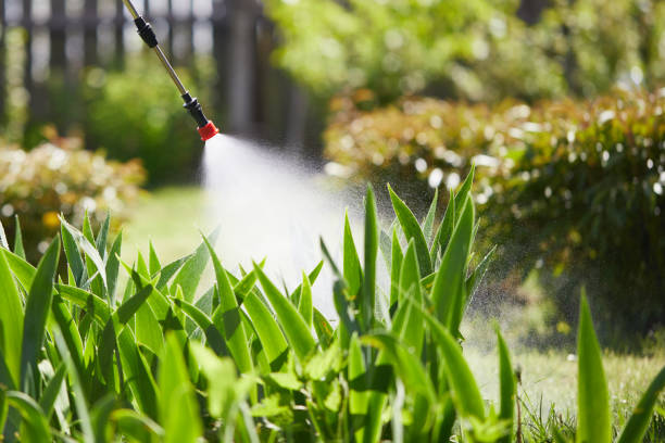 24/7 Emergency Mosquito Control experts in Rib Mountain, WI