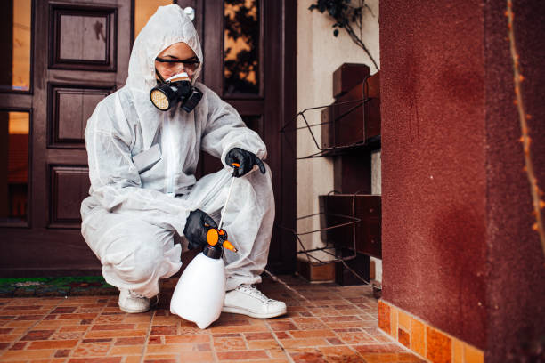 Reliable Mosquito Control contractor in Rib Mountain, WI by Show Me Pest Control