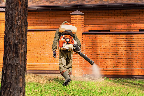 Top rated local Mosquito Control specialists in Rib Mountain, WI